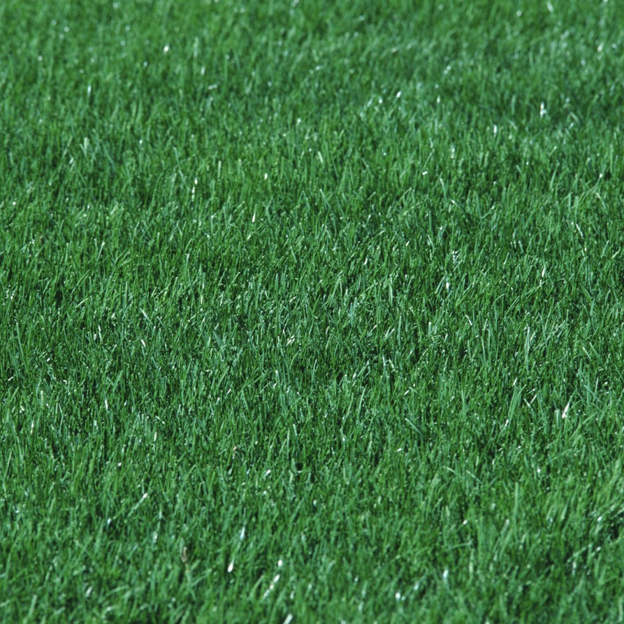 Газонная трава Смесь для спортивной площадки SPORT, 1 кг Газонная трава Смесь для спортивной площадки SPORT, 1 кг - Dolina-Sad.Ru