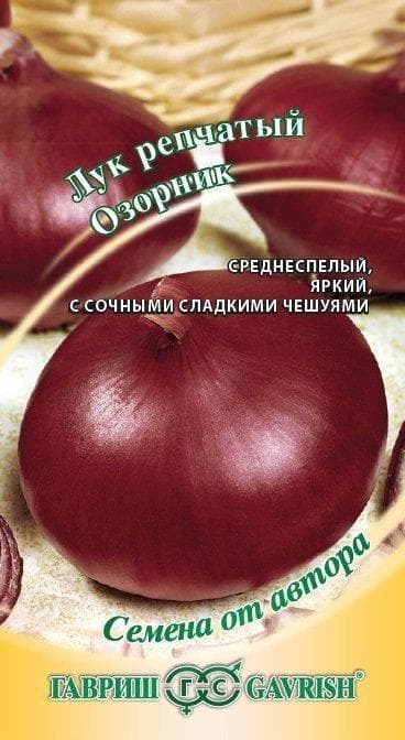 Лук Репчатый Озорник фото