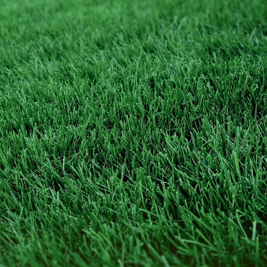 Газонная трава Смесь для спортивной площадки SPORT, 1 кг Газонная трава Смесь для спортивной площадки SPORT, 1 кг - Dolina-Sad.Ru