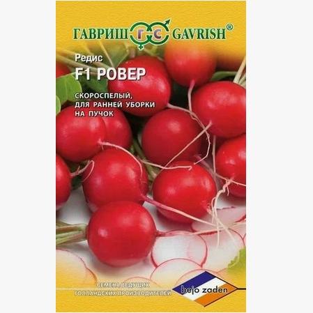 Редис Ровер F1 (Голландия) - Dolina-Sad.Ru