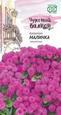 Агератум Малинка* "Чудесный балкон" фото